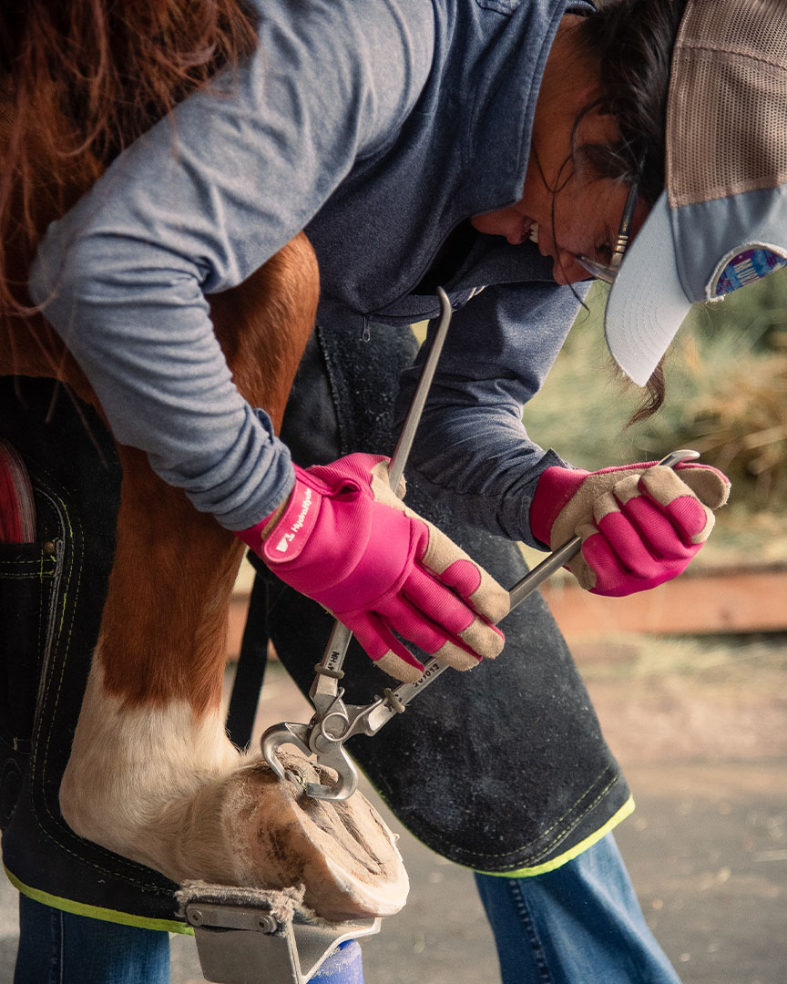 hoof-trimmer