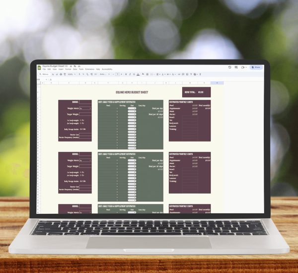 Equine Budget Sheet