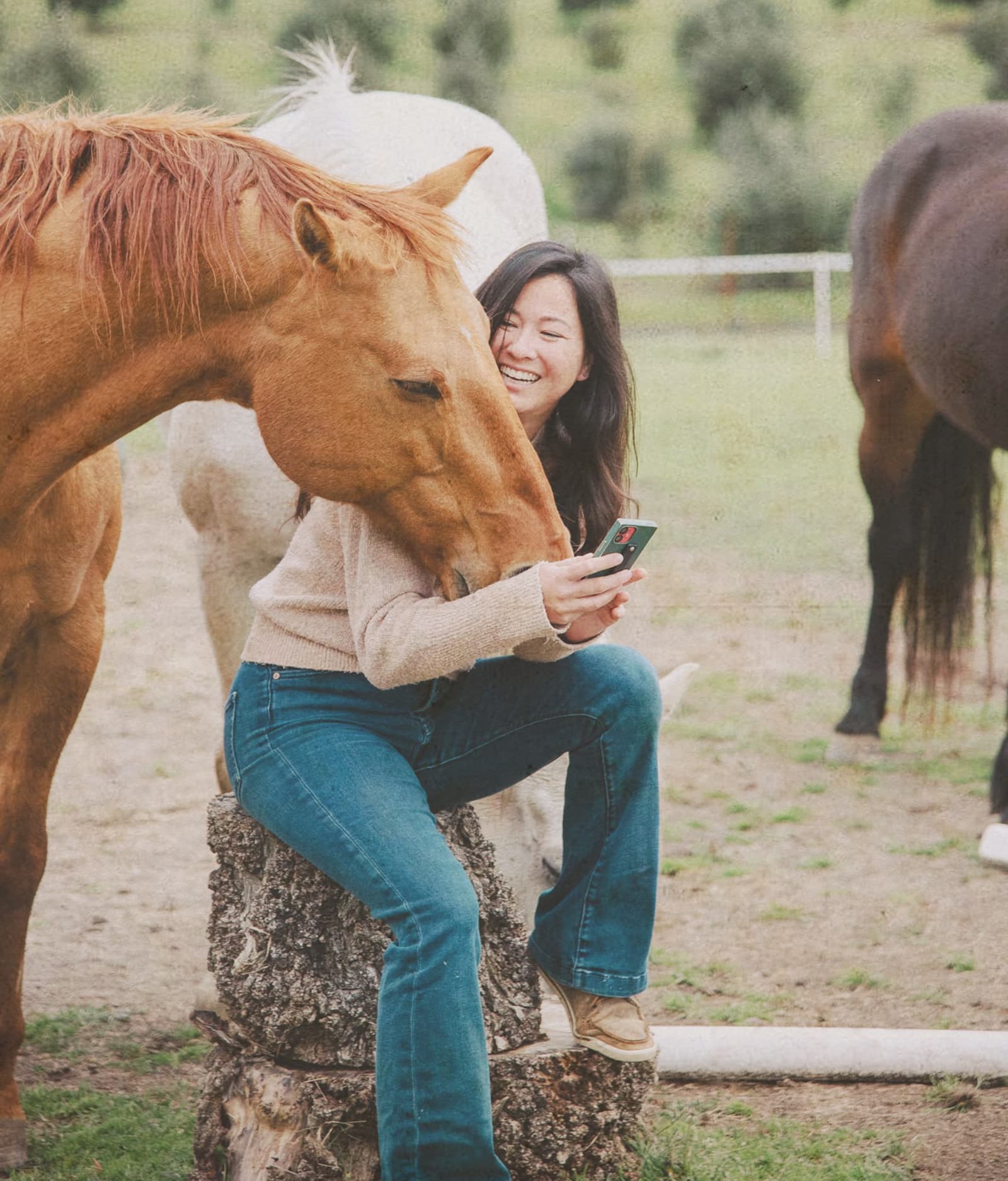 rachel-horses-phone-working-laughing